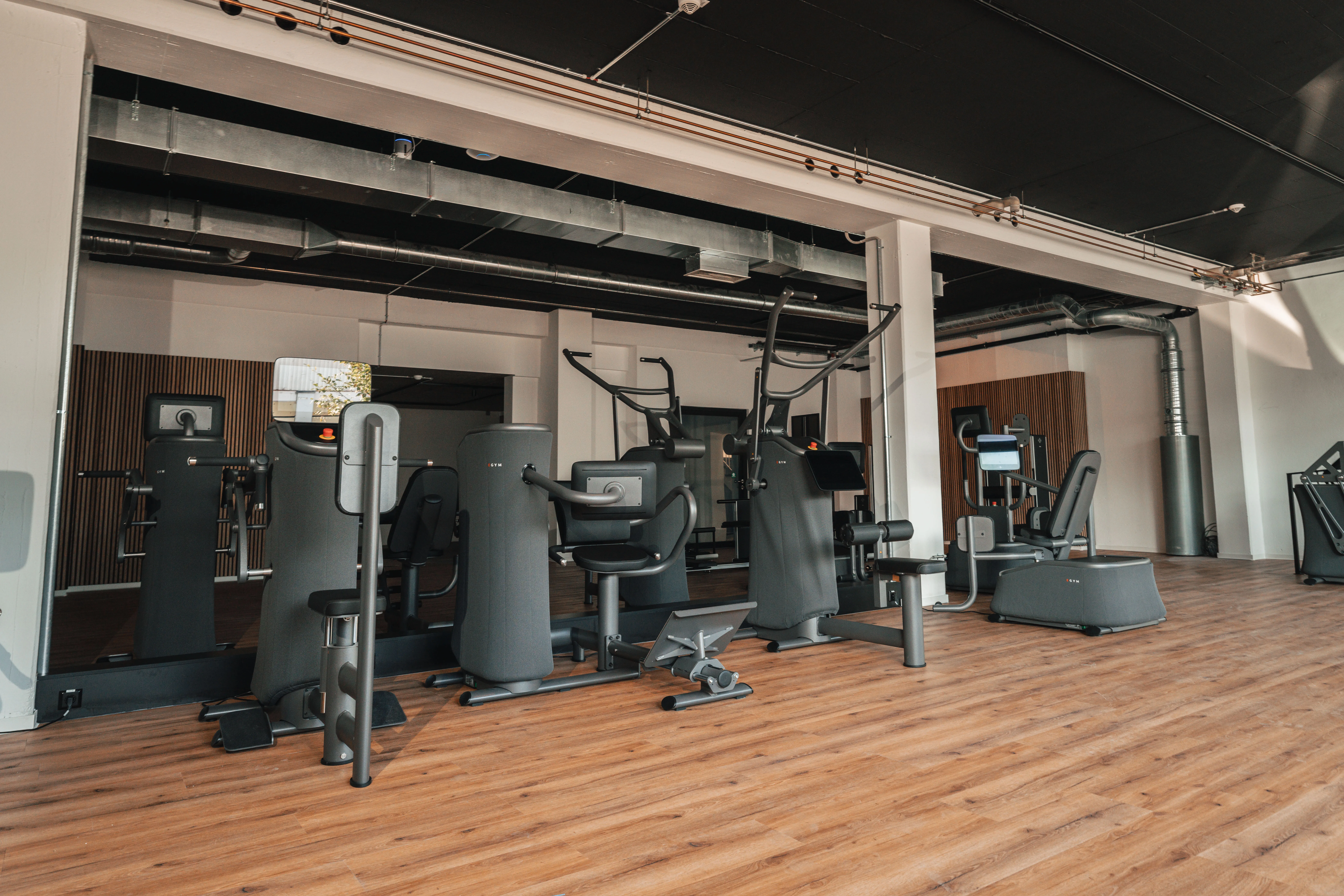 EGYM Trainingsbereich
